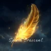 Celestial Phoenix Feather Offering: Gentle, Warm Energy - Spiritual Gift