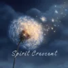 Astral Energy Offering, Glowing Dandelion Softness (For Loved Ones in Spirit)